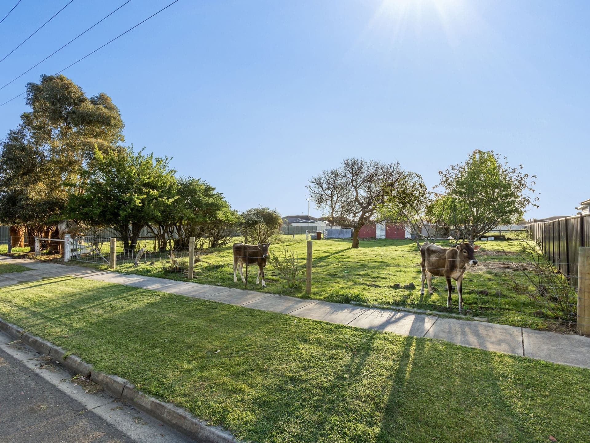 49A Cants Road Colac VIC, Colac - Thumbnail 2