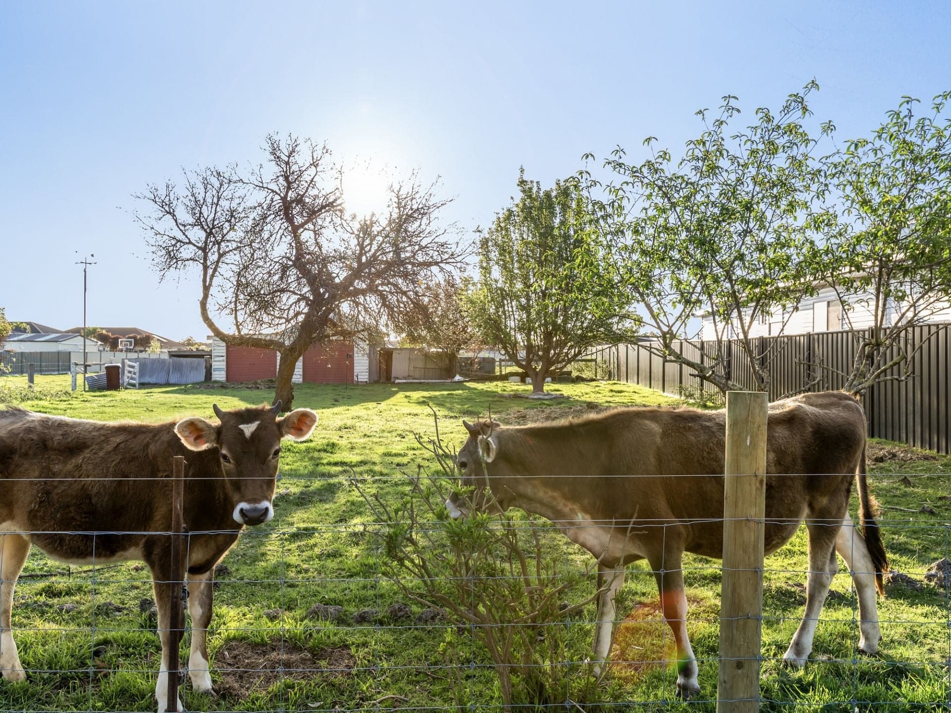 49A Cants Road Colac VIC, Colac - Thumbnail 3