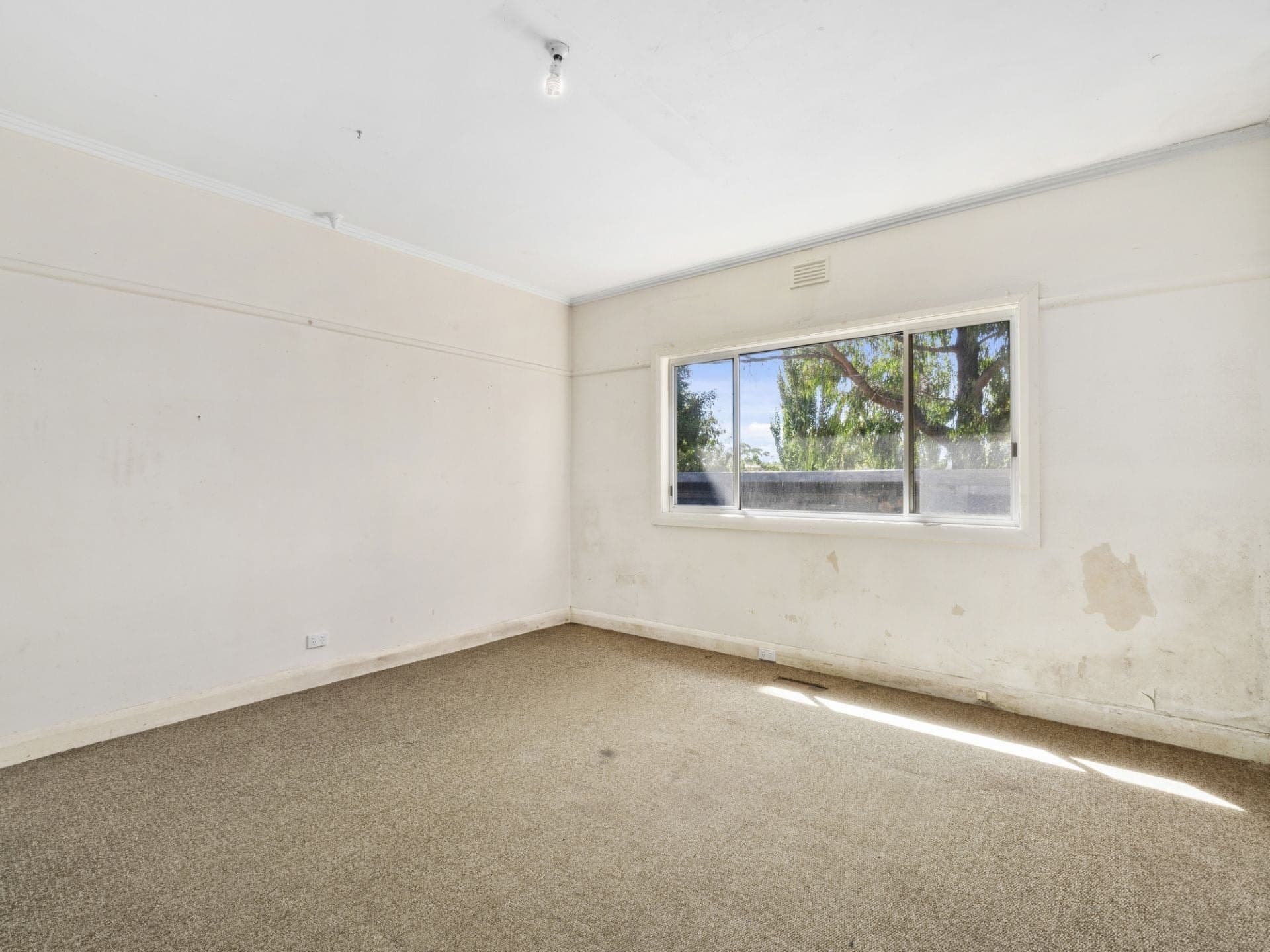 16 Sanderson Lane Forrest VIC, Forrest - Thumbnail 6