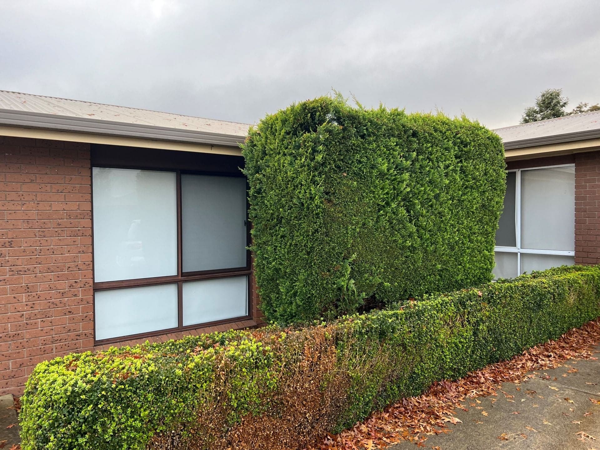 5/66 Hart Street Colac VIC, Colac - Image 1