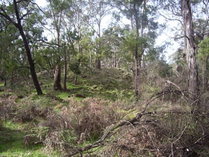 405 and 415 Scoullers Road CARPENDEIT VIC, Carpendeit - Thumbnail 2