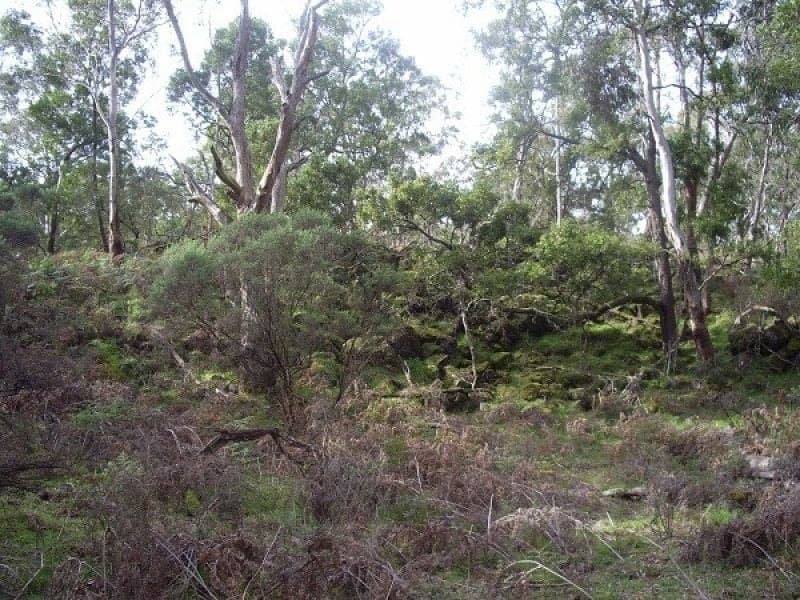 405 and 415 Scoullers Road CARPENDEIT VIC, Carpendeit - Thumbnail 4