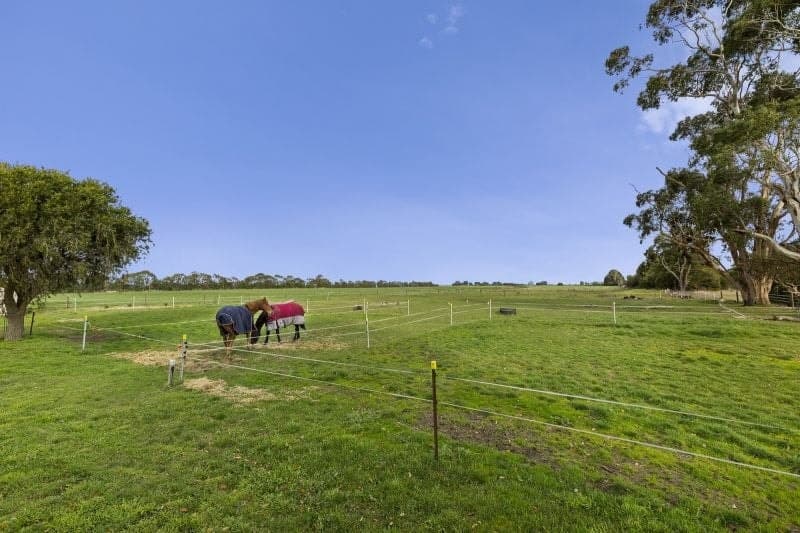 250 McNabbs Road IRREWILLIPE EAST VIC, Irrewillipe East - Thumbnail 8
