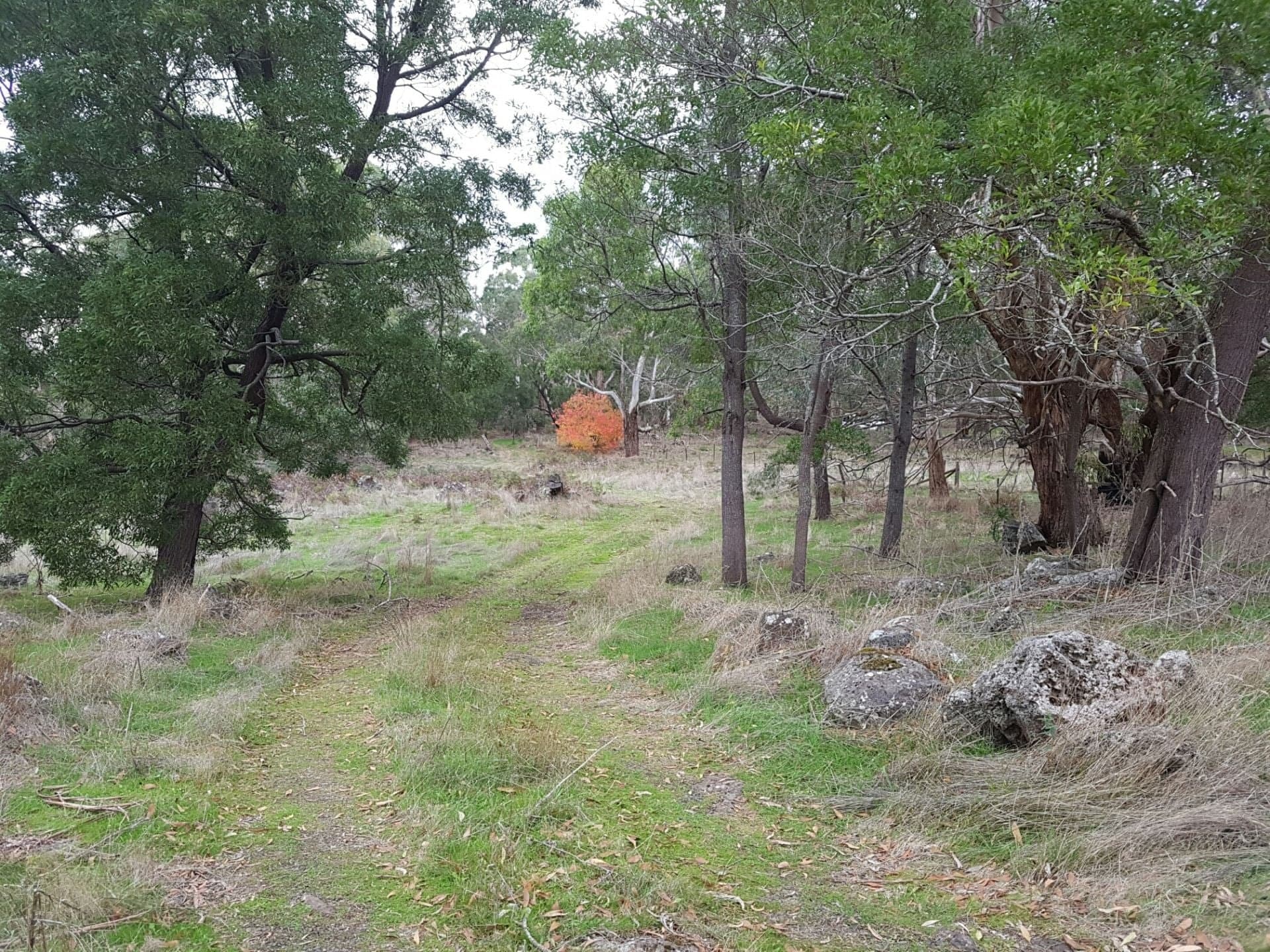 479 Scoullers Road STONYFORD VIC, Stonyford - Image 1
