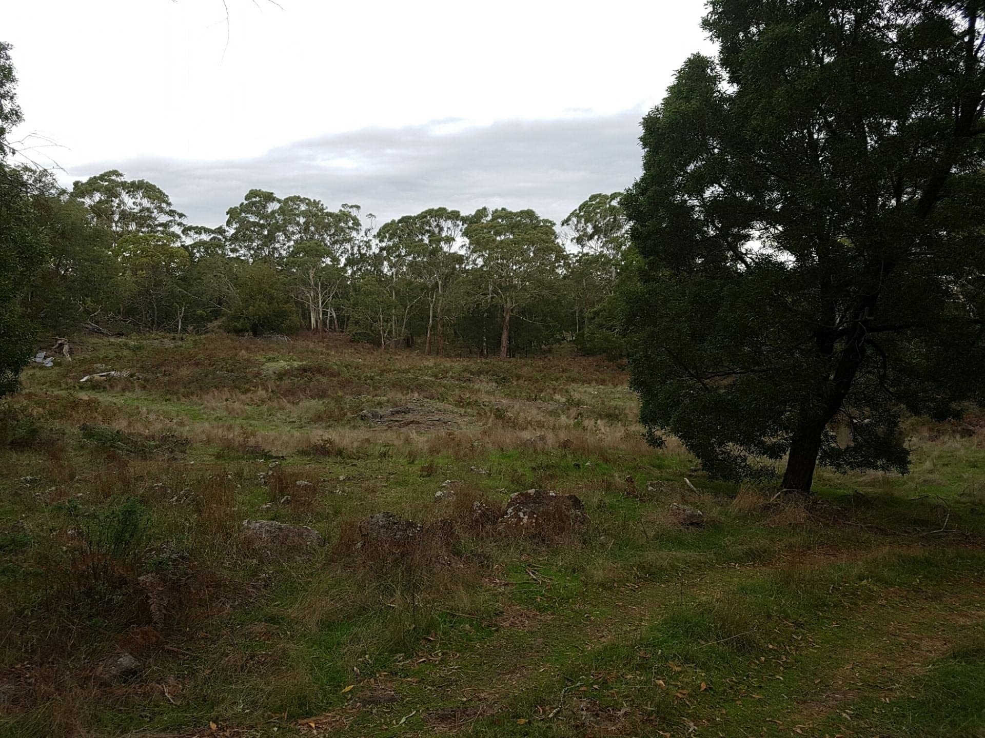 479 Scoullers Road STONYFORD VIC, Stonyford - Thumbnail 3