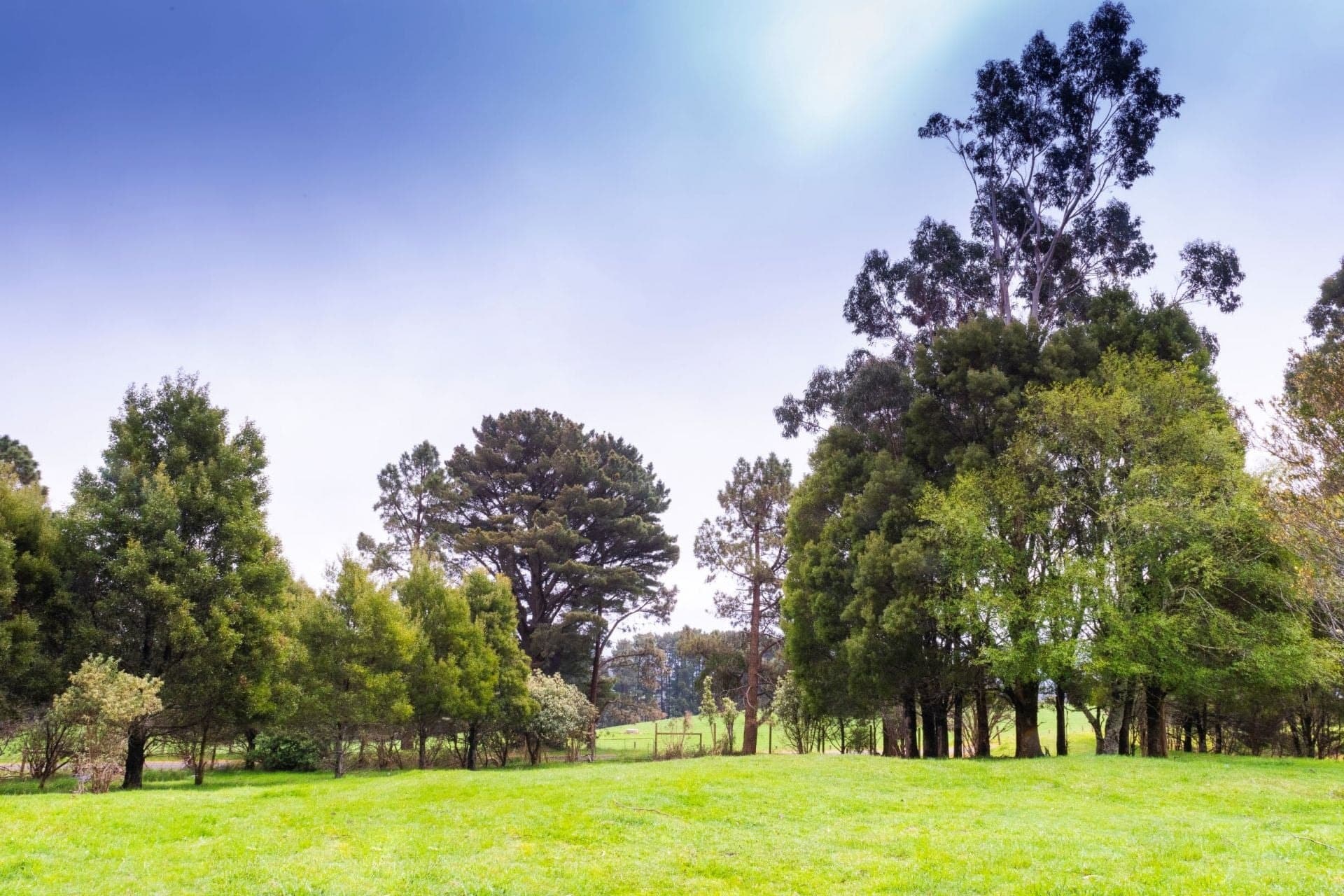 10 Beech Forest-Lavers Hill Road BEECH FOREST VIC, Beech Forest - Image 1