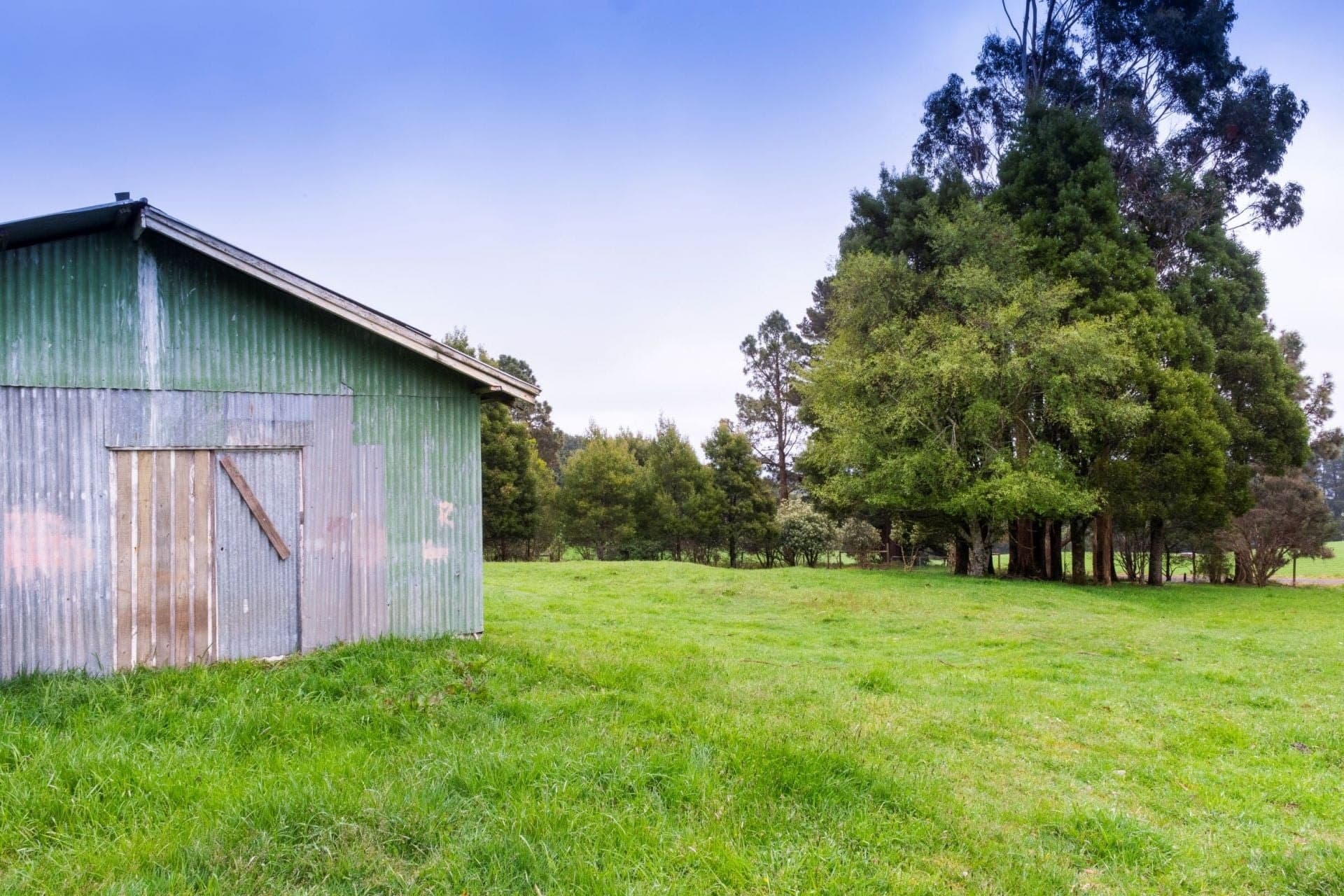10 Beech Forest-Lavers Hill Road BEECH FOREST VIC, Beech Forest - Thumbnail 2