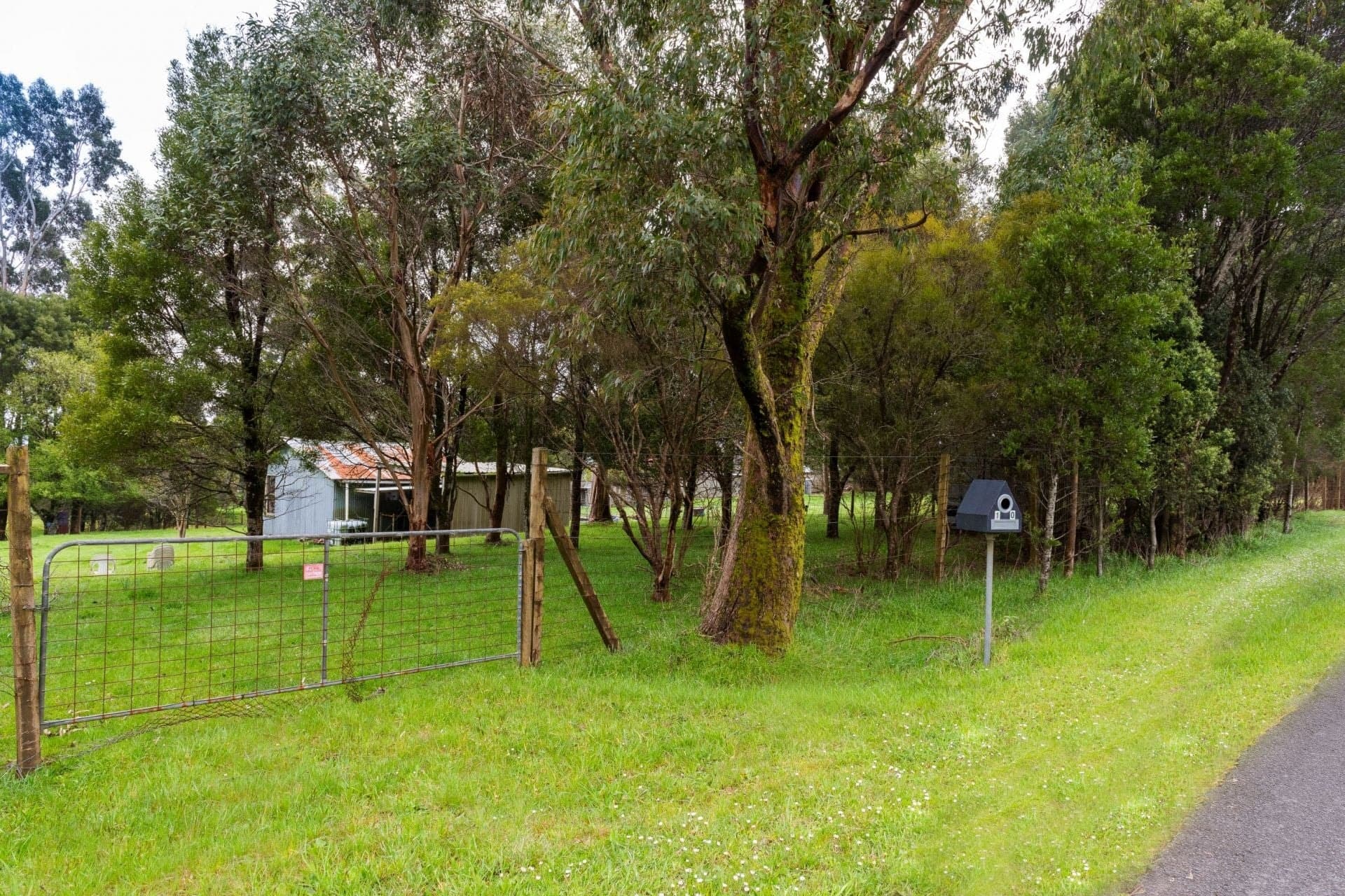 10 Beech Forest-Lavers Hill Road BEECH FOREST VIC, Beech Forest - Thumbnail 7