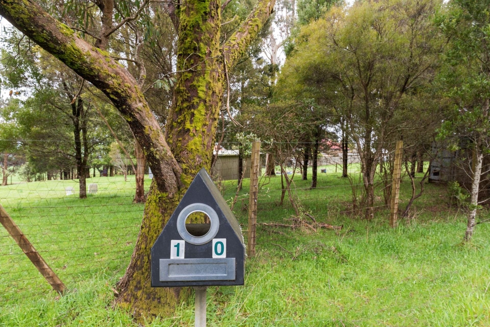 10 Beech Forest-Lavers Hill Road BEECH FOREST VIC, Beech Forest - Thumbnail 8