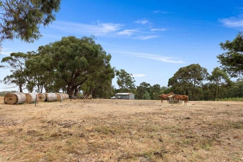 40 Hoveys Road BARONGAROOK WEST VIC, Barongarook West - Thumbnail 4