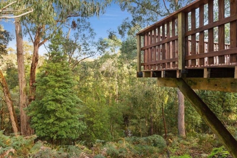 715 Carlisle Road IRREWILLIPE VIC, Irrewillipe - Thumbnail 3