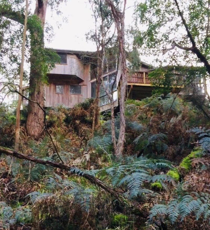 715 Carlisle Road IRREWILLIPE VIC, Irrewillipe - Thumbnail 5