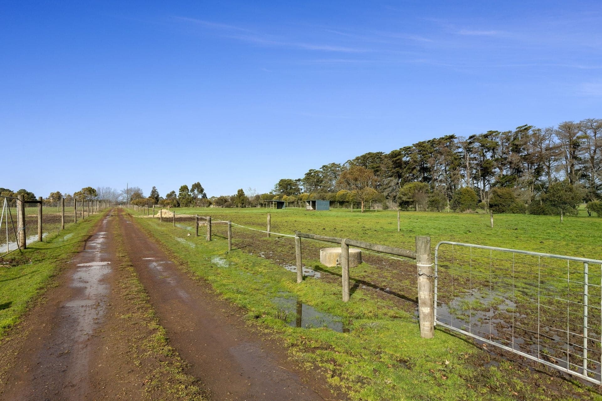 110 Cobden-Terang Road COBDEN VIC, Cobden - Thumbnail 8