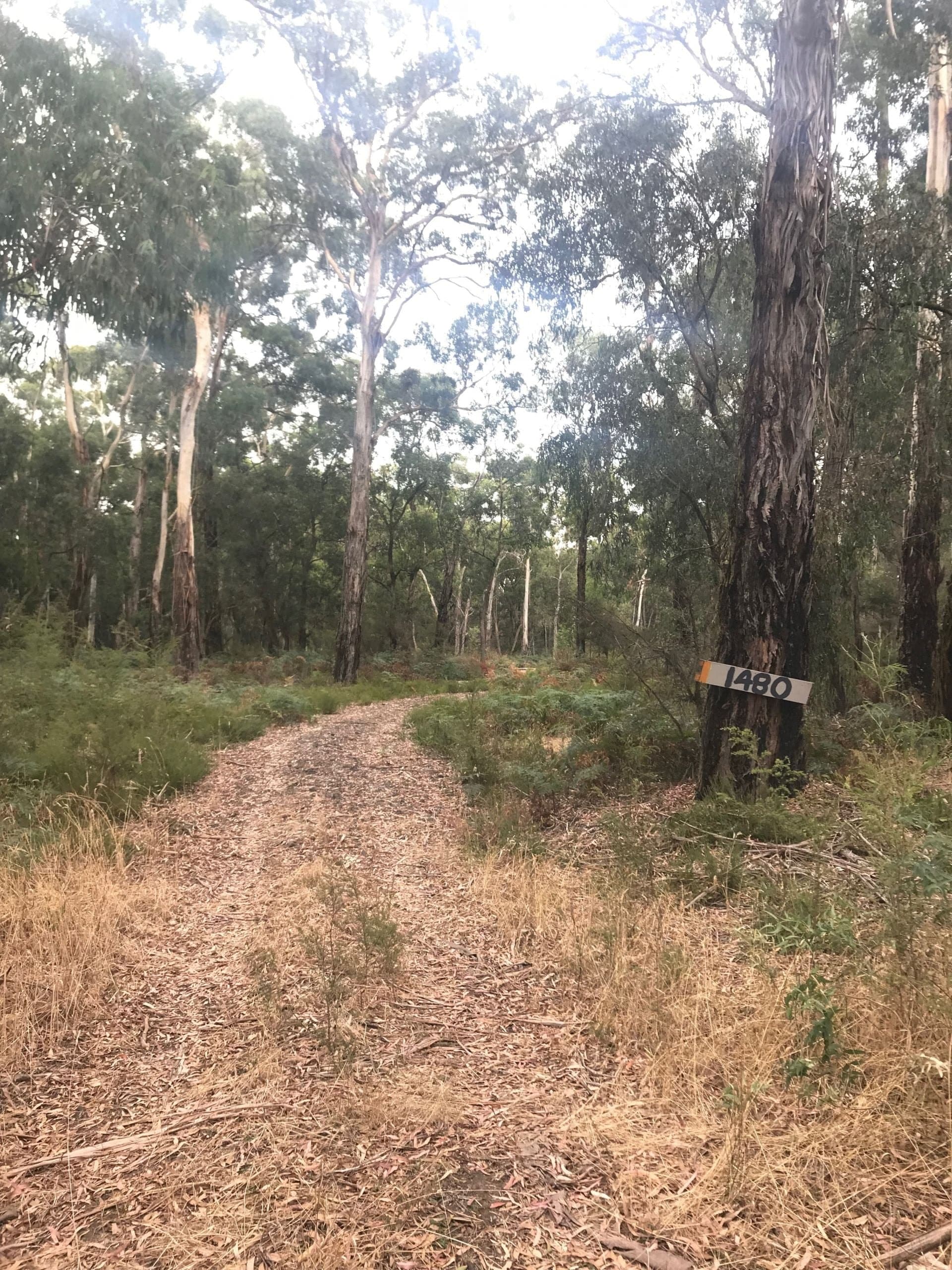 1480 Colac Forrest Road YEODENE VIC, Yeodene - Image 1