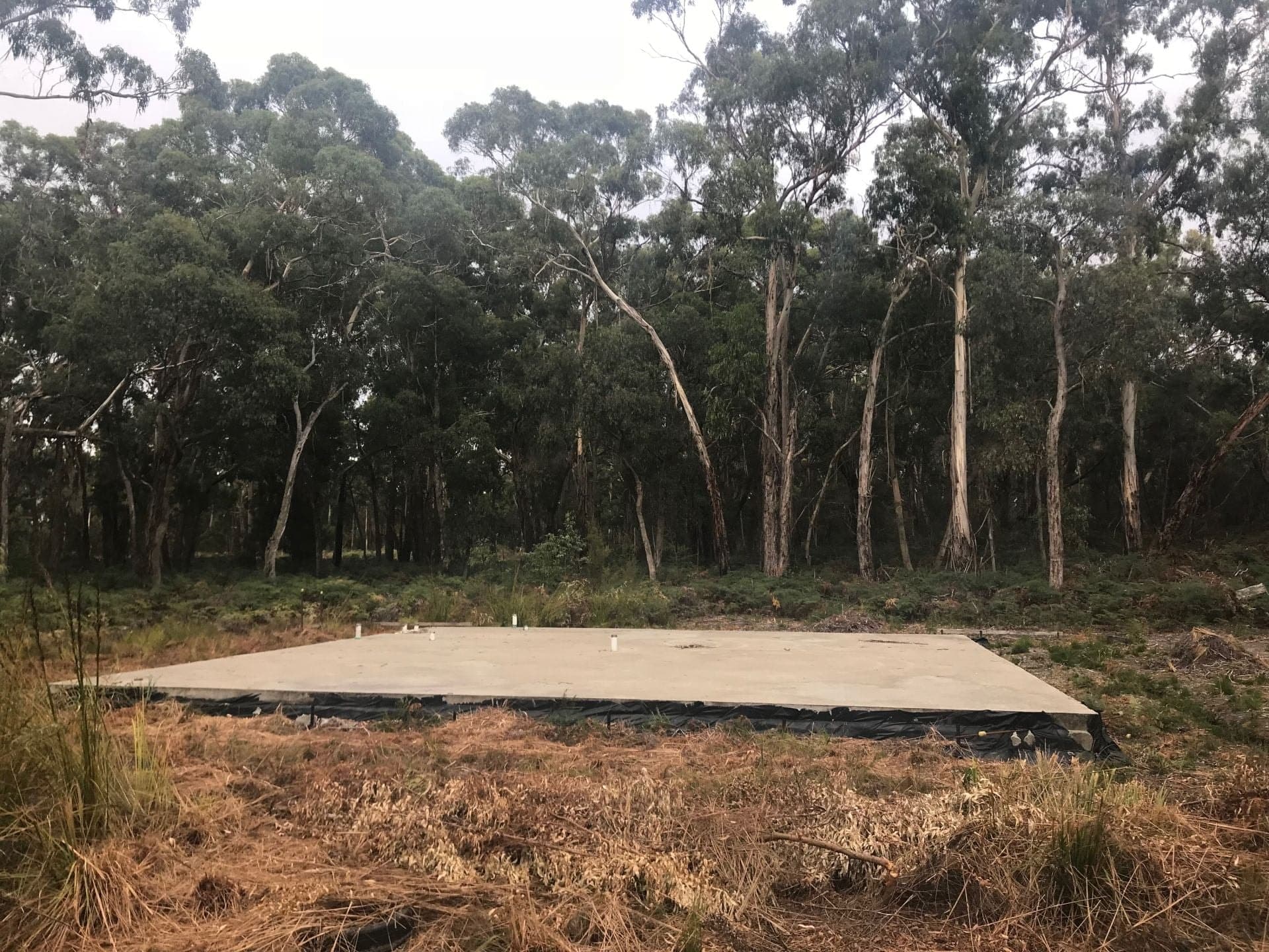 1480 Colac Forrest Road YEODENE VIC, Yeodene - Thumbnail 2