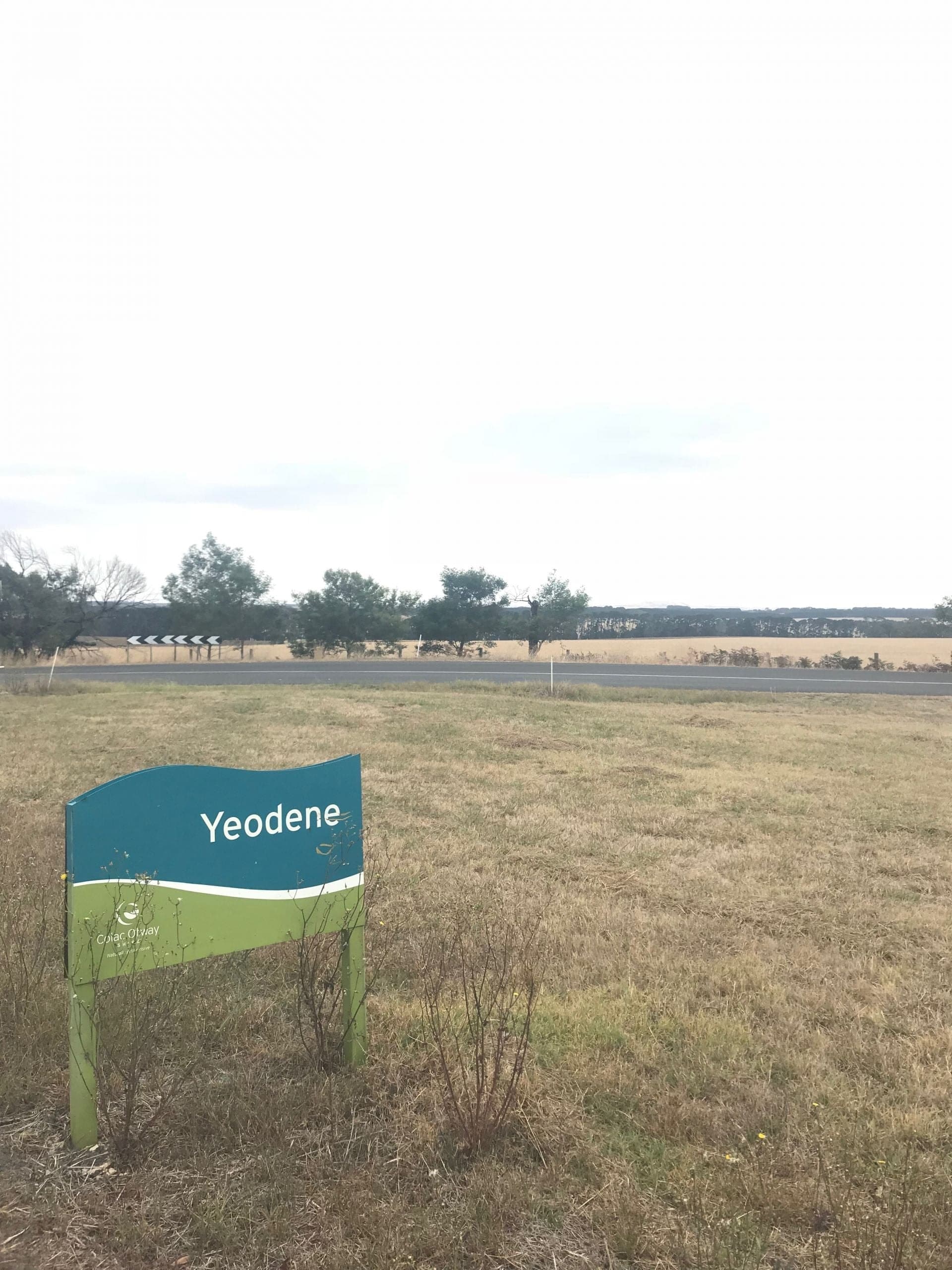 1480 Colac Forrest Road YEODENE VIC, Yeodene - Thumbnail 3