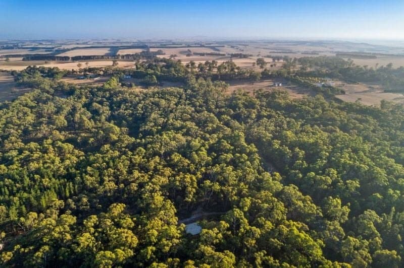 1480 Colac Forrest Road YEODENE VIC, Yeodene - Thumbnail 5