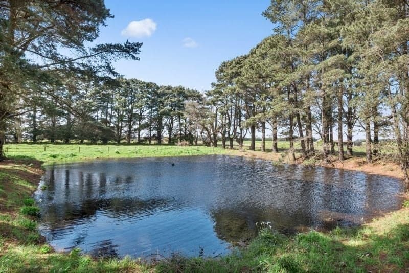420 Gribbles Road JANCOURT EAST VIC, Jancourt East - Thumbnail 2