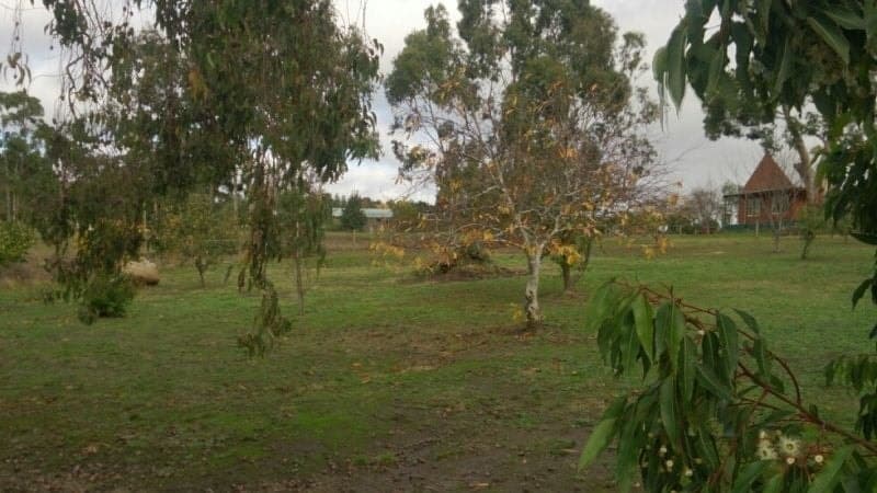 Lot 5 Edmundson Street BIRREGURRA VIC, Birregurra - Thumbnail 4