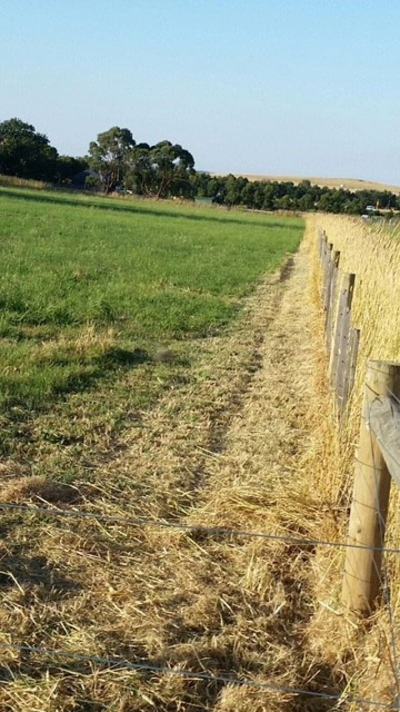 1/20 Warncoort Cemetery Road WARNCOORT VIC, Warncoort - Thumbnail 5