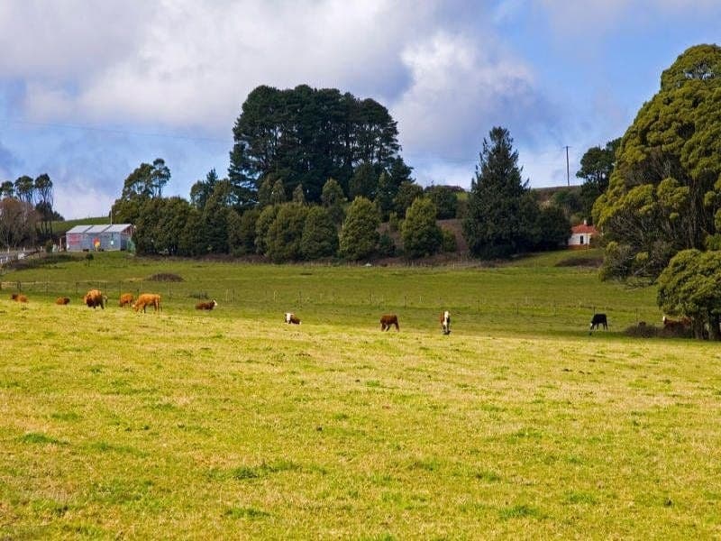 3750 Colac Lavers Hill Road FERGUSON VIC, Ferguson - Thumbnail 2