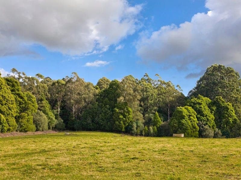 3750 Colac Lavers Hill Road FERGUSON VIC, Ferguson - Thumbnail 5