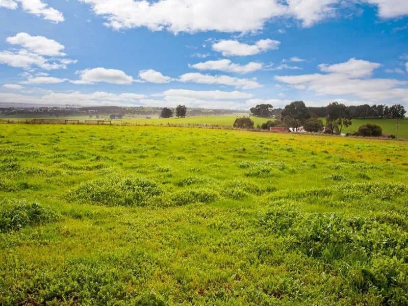 140 Woodrowvale Road ELLIMINYT VIC, Elliminyt - Thumbnail 2