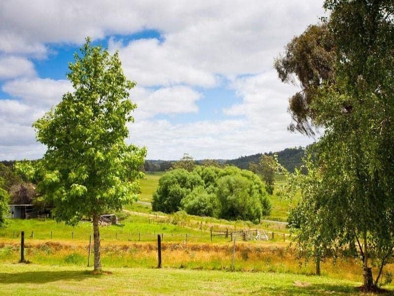 2 Yaugher Road FORREST VIC, Forrest - Thumbnail 4