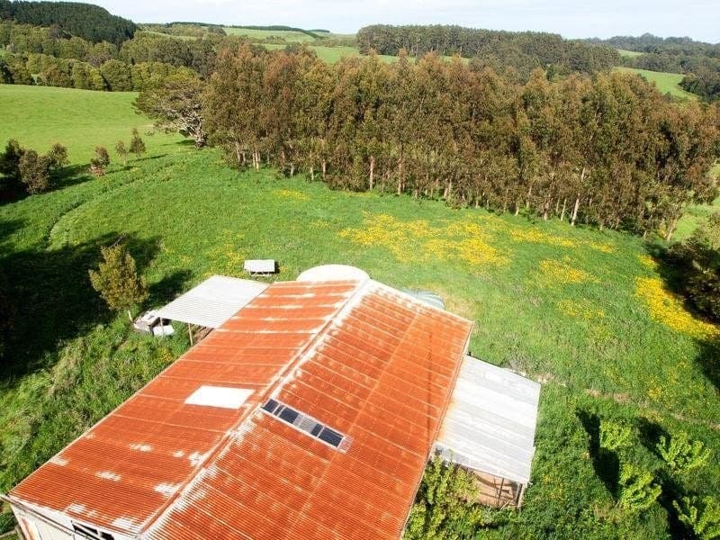 135 Old Colac Road BEECH FOREST VIC, Beech Forest - Image 1