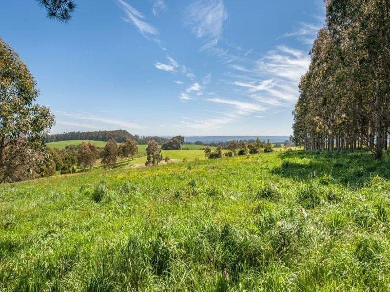 135 Old Colac Road BEECH FOREST VIC, Beech Forest - Thumbnail 3
