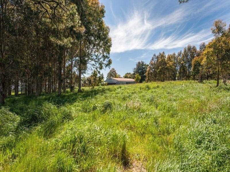 135 Old Colac Road BEECH FOREST VIC, Beech Forest - Thumbnail 4