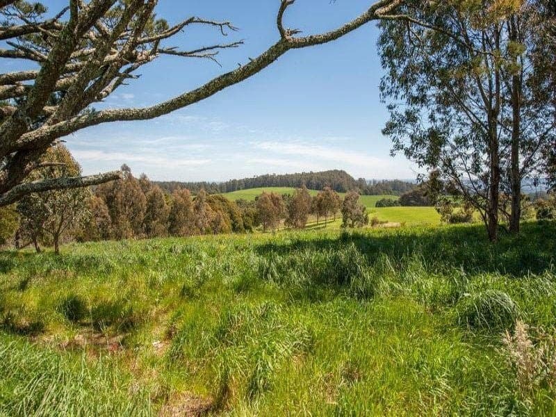 135 Old Colac Road BEECH FOREST VIC, Beech Forest - Thumbnail 5