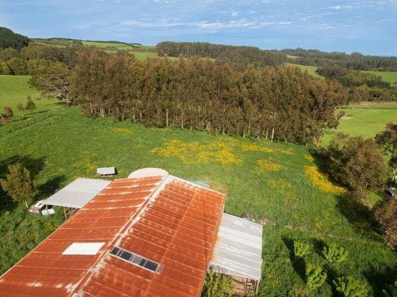 135 Old Colac Road BEECH FOREST VIC, Beech Forest - Thumbnail 8