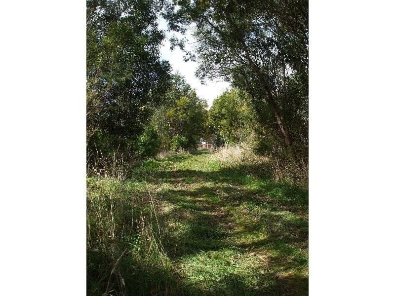 36 Dehnerts Track BEECH FOREST VIC, 36 Dehnerts Track Beech Forest - Thumbnail 5