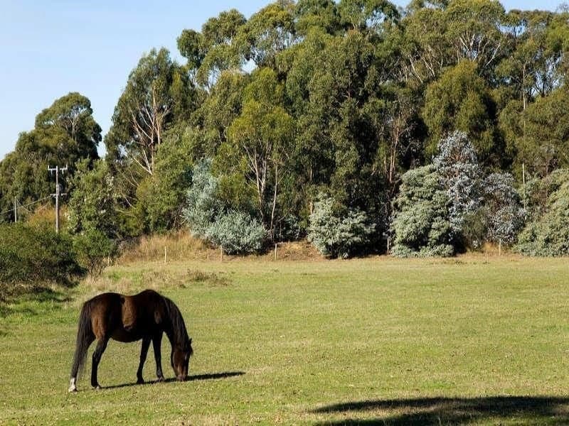 85 Bushbys Road BARONGAROOK VIC, Barongarook - Image 1