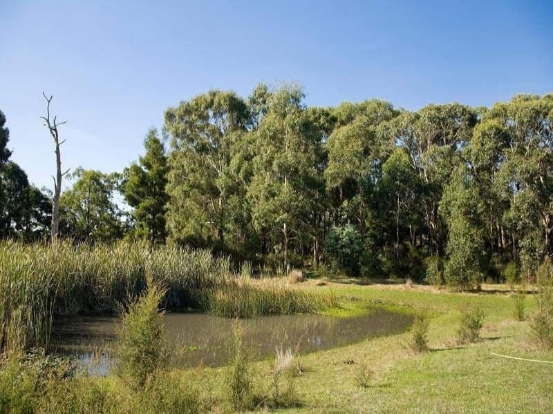85 Bushbys Road BARONGAROOK VIC, Barongarook - Thumbnail 3