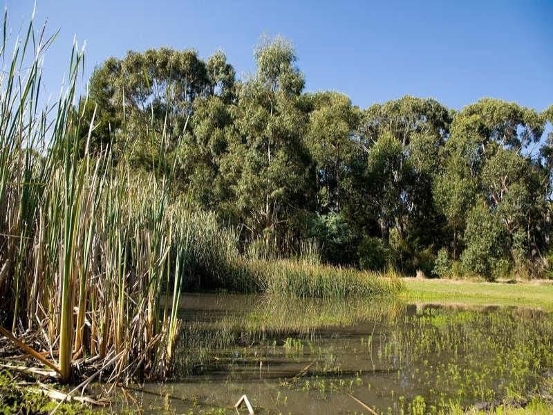 85 Bushbys Road BARONGAROOK VIC, Barongarook - Thumbnail 4