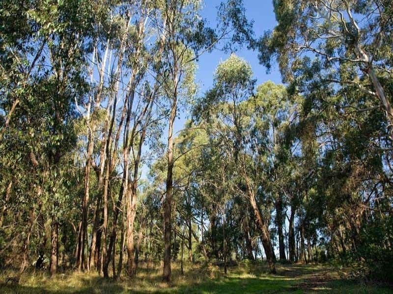 85 Bushbys Road BARONGAROOK VIC, Barongarook - Thumbnail 5