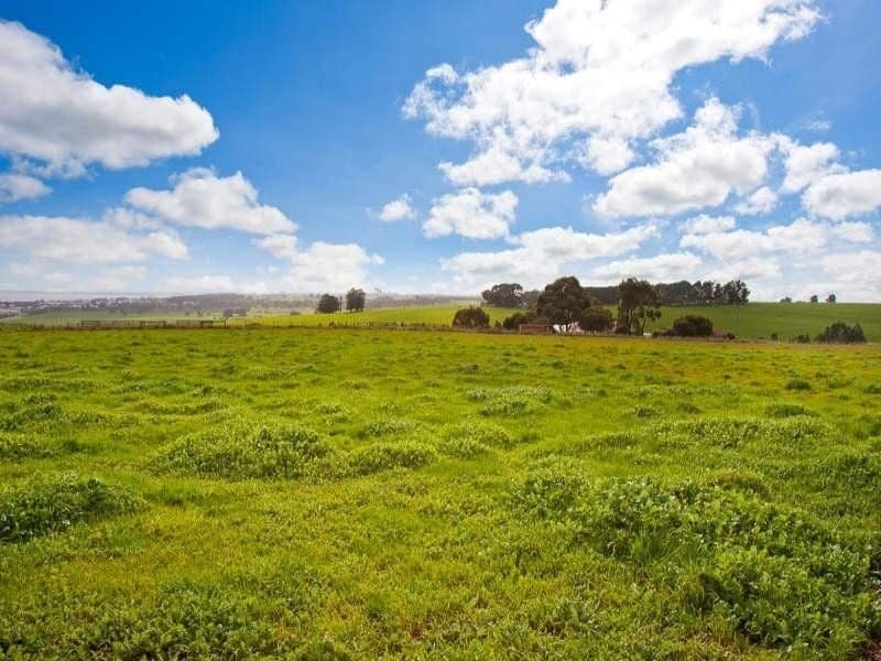 160 Woodrowvale Road ELLIMINYT VIC, Elliminyt - Thumbnail 3