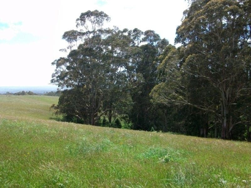 1 150 Old Colac Road BEECH FOREST VIC, Beech Forest - Thumbnail 3