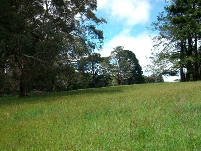 1 150 Old Colac Road BEECH FOREST VIC, Beech Forest - Thumbnail 5