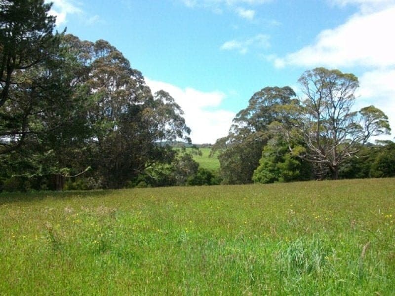 1 150 Old Colac Road BEECH FOREST VIC, Beech Forest - Thumbnail 6