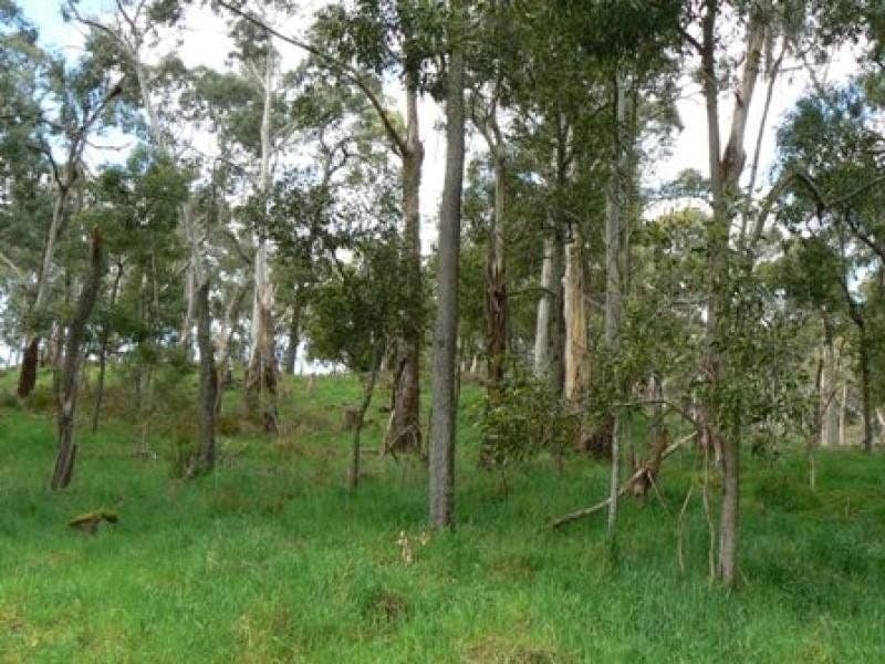 Scoullers Road STONYFORD VIC, Stonyford - Image 1
