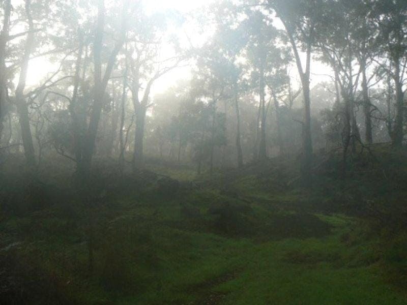 Scoullers Road STONYFORD VIC, Stonyford - Thumbnail 2