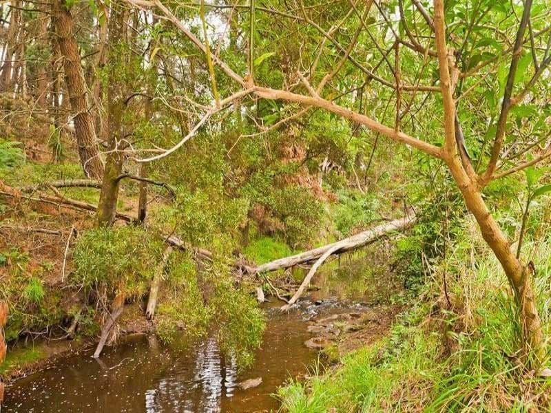 1680 Colac Lavers Hill Road KAWARREN VIC, Kawarren - Thumbnail 2