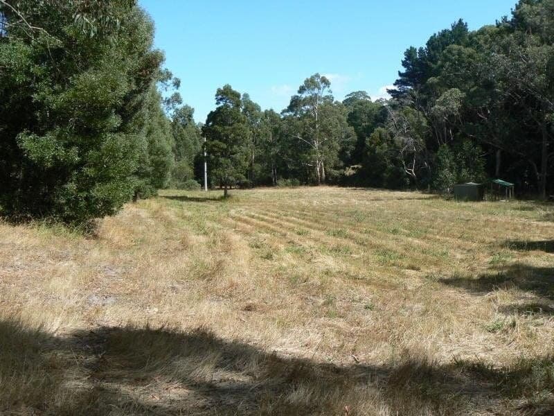 1680 Colac Lavers Hill Road KAWARREN VIC, Kawarren - Thumbnail 4
