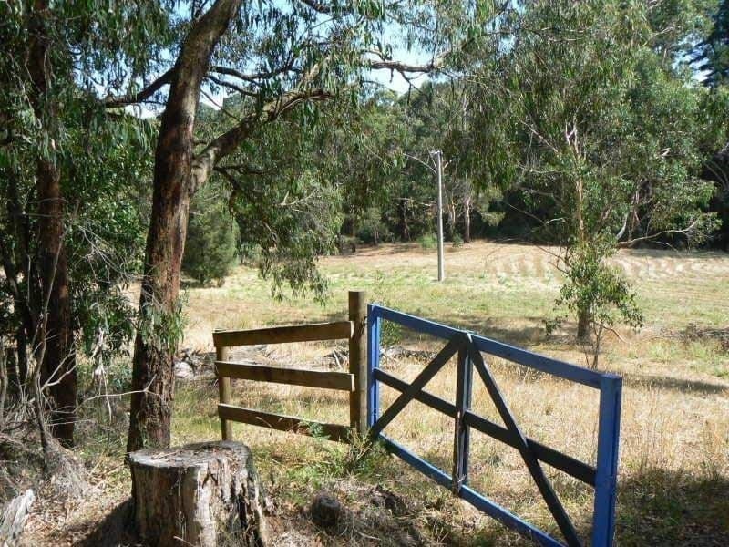 1680 Colac Lavers Hill Road KAWARREN VIC, Kawarren - Thumbnail 5