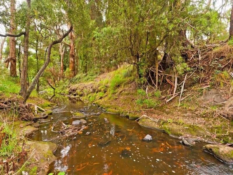 1680 Colac Lavers Hill Road KAWARREN VIC, Kawarren - Thumbnail 7