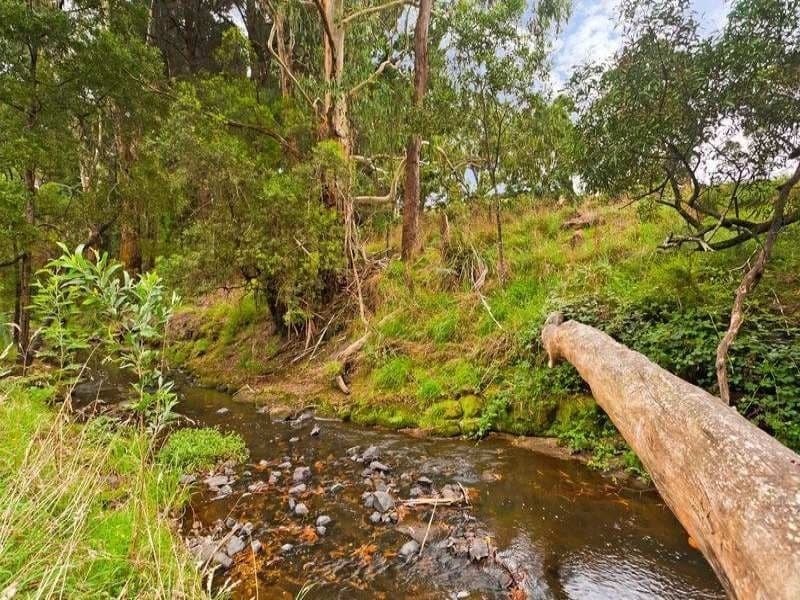 1680 Colac Lavers Hill Road KAWARREN VIC, Kawarren - Thumbnail 8