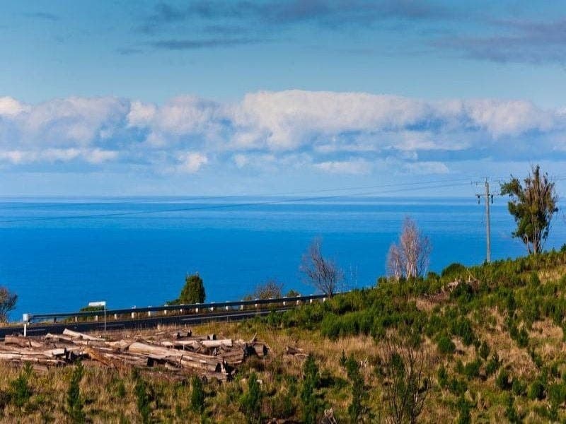 5690 Great Ocean Road YUULONG VIC, Yuulong - Thumbnail 2